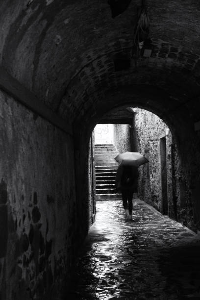 Mura e torri del centro storico di Castiglione di Garfagnana
